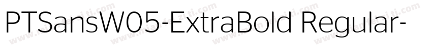 PTSansW05-ExtraBold Regular字体转换